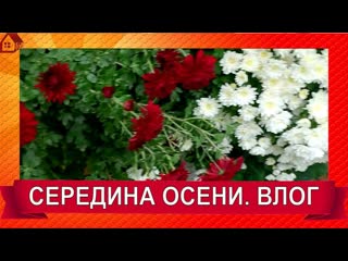 БОЛТОВЛОГ Середина ОСЕНИ. Делаю обход сада-огорода. Что цветет
