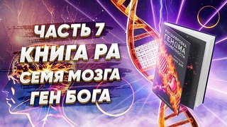 Книга Ра и кодоны памяти Ра. Высшие земные аспекты кода изначального человека. Семя мозга (Часть 7)