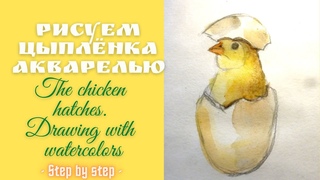 Как нарисовать цыпленка акварелью #Art Рисуем просто и легко! How to draw a chicken in watercolor