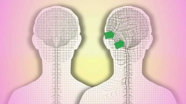 Cranio Sacral Therapy. What is it How does it work by Tad