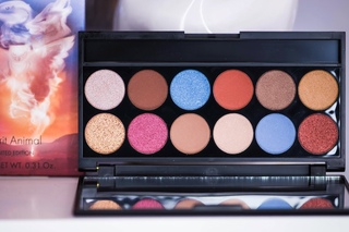 Свотчи и макияж с палеткойSpirit Animal i-Divine Eyeshadow Palette