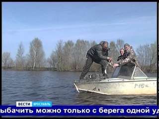 В Ярославле промысловый лов рыбы запрещен, любительский строго ограничен