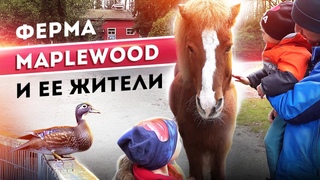 Ферма Maplewood  | Семейный отдых в Ванкувере ВЛОГ Канада