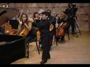 Bumble Bee Chopin Nocturne by George Li (12