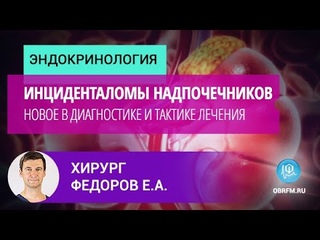 Хирург Федоров Е.А.: Инциденталомы надпочечников: новое в диагностике и тактике лечения