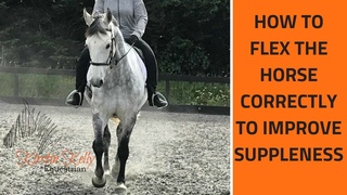 How to Flex the Horse correctly with Kirstin Kelly.