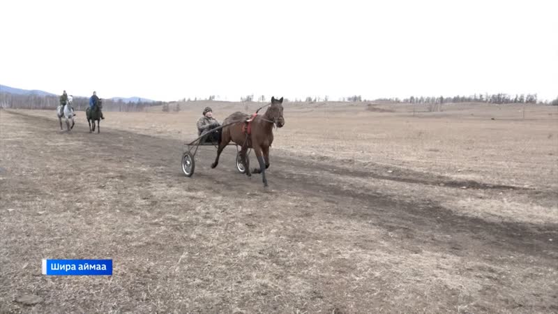 В Ширинском аграрном техникуме работает секция верховой