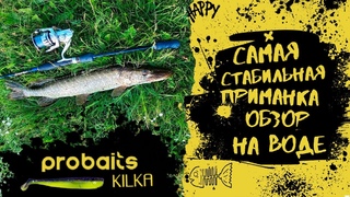 Лучшая приманка на щуку и судака I Обзор на воде