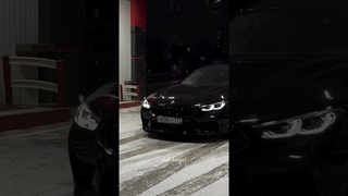 весь движ в TG