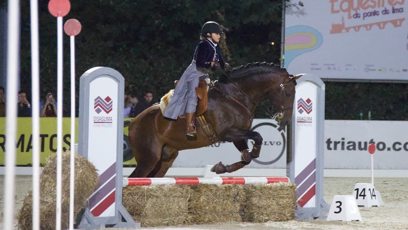 World championship of working equitation speed test Lara e