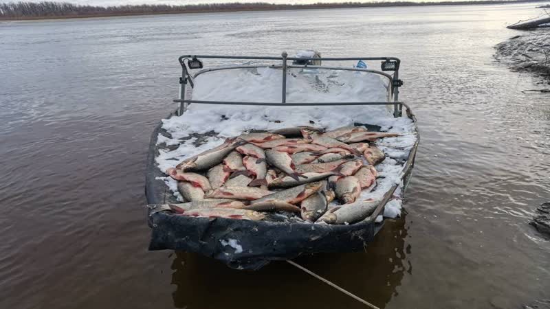 Полные Сети Рыбы, Рыбалка На Сплавную Сеть,
