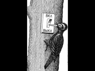 Мозги и Мусор вокруг Нас