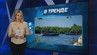 ВСУ на левом берегу Днепра, В РФ день хлопков, У Африки с Россией одна история | В ТРЕНДЕ