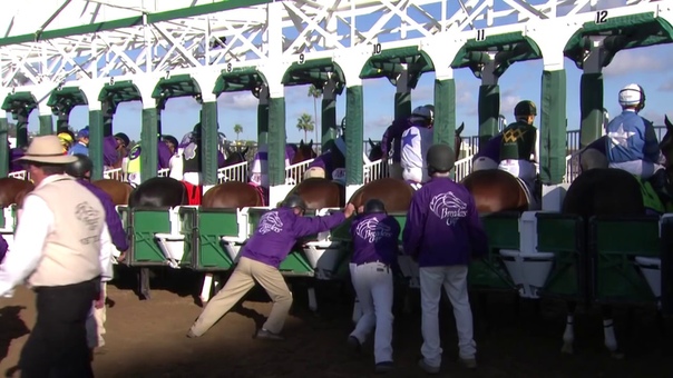 2017 Sentient Jet Breeders Cup Juvenile Good