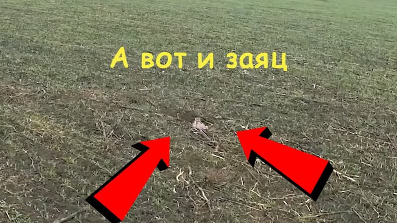 ОХОТА НА