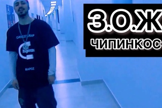 Чипинкос - ТИПА ЗА З.О.Ж