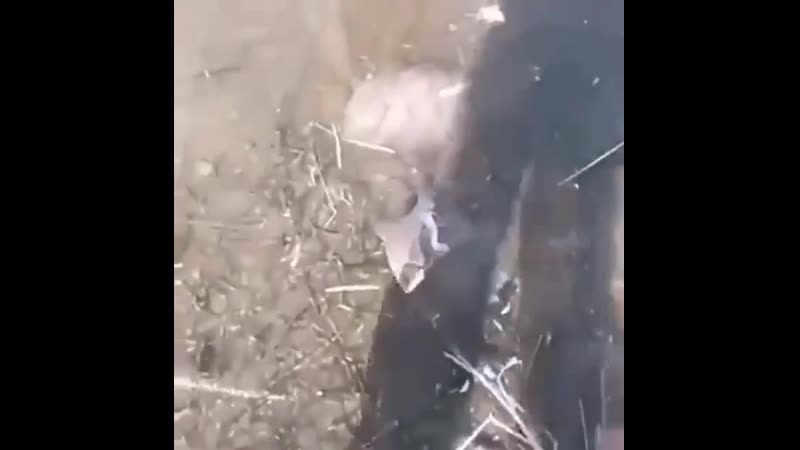 Интересный способ