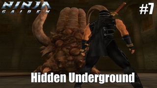 Скрытое подземелье | Ninja Gaiden (2004) #7