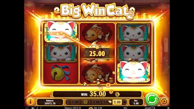 Big Win Cat video slot ( Playn