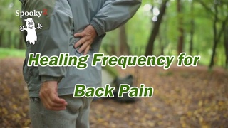 Healing Frequency for Back Pain - Spooky2 Rife Healing Frequency