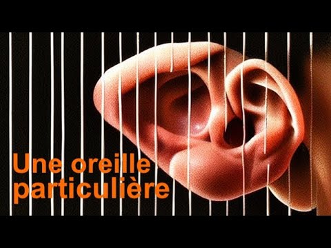 UNE OREILLE PARTICULIÈ