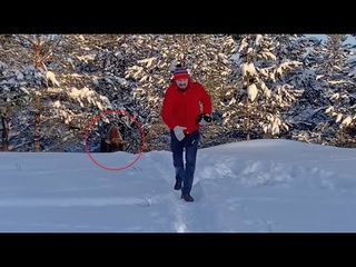 Вологжанин смог убежать от разгневанного зубра в лесу