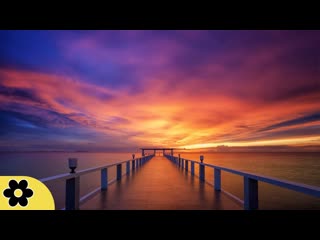 Music for Sleeping, Soothing Music, Stress Relief, Go to Sleep, Background Music, 8 Hours, 3001C