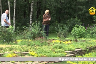 Дачники благоустраивают бесхозною лесную опушку.
