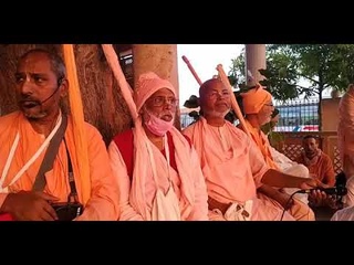 🌺 Vrindavan Parikrama 2021. 24 October.