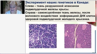 Запись вебинара Ольги Писарьковой от . Уникальная система клеточного оздоровления организма.