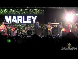 Damian, Stephen & Julian Marley - Intro / Is This Love @ 9 Mile Music Festival 3/3/2012