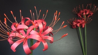 9DIY(Paper flower)cluster amaryllis