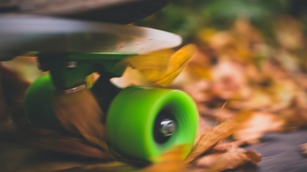 AUTUMN PENNY
