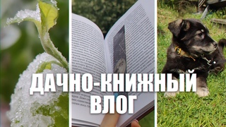 Книжный влог на даче  Отдыхаю на природе  играю с щенком читаю книгу  снег в июне