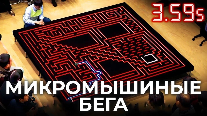 Микромышиные бега самая быстрая гонка по лабиринту