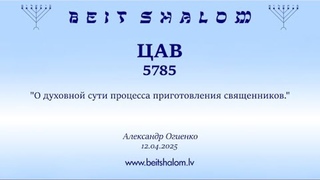 ЦАВ 5785 О ДУХОВНОЙ СУТИ ПРОЦЕССА ПРИГОТОВЛЕНИЯ СВЯЩЕННИКОВ А.Огиенко ()