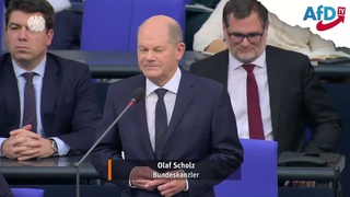 Scholz in der Klemme: Milliarden-Betrug AfD konfrontiert! #CumExScholz