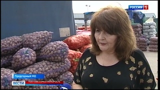 Что происходит с ценами на Ставрополье