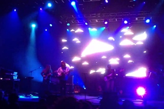 MGMT - Mystery Disease (live)