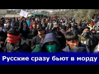 Немцев восхитила реакция русских на обнаглевших беженцев