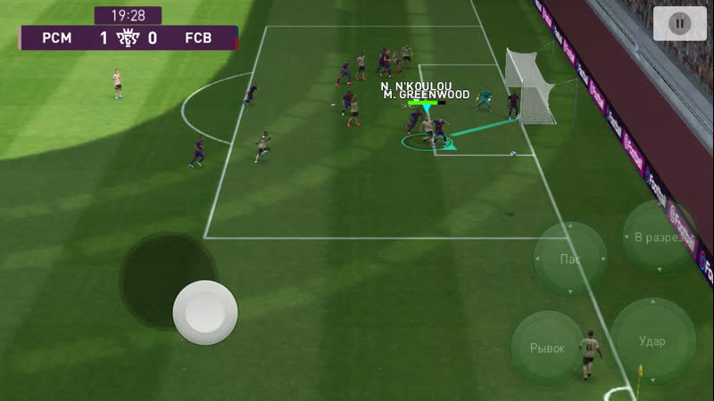 Видео от Wild