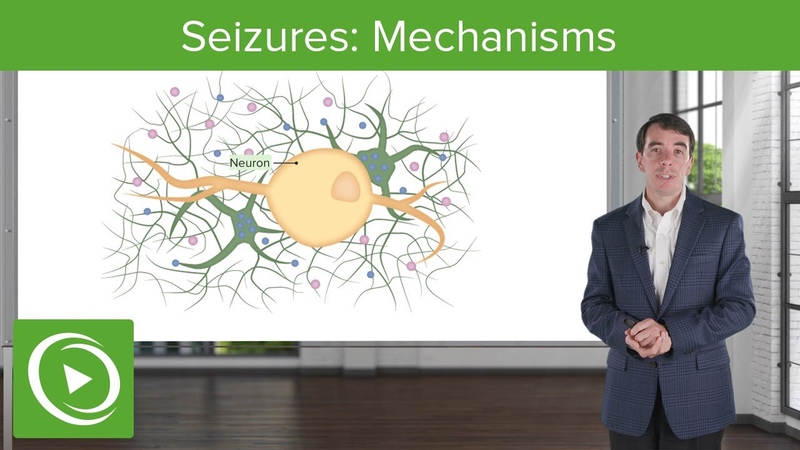Seizures: Mechanisms, Clinical