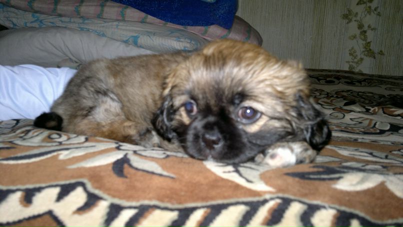 Ольга Соснова | Волгоград