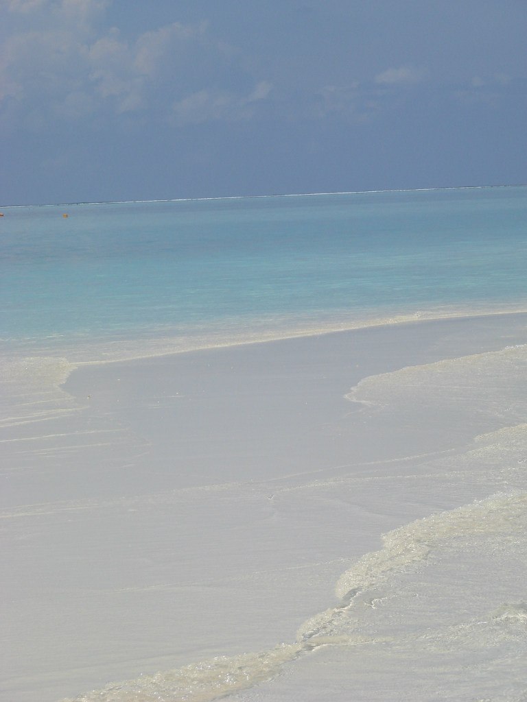 Надежда Молодцова | Москва