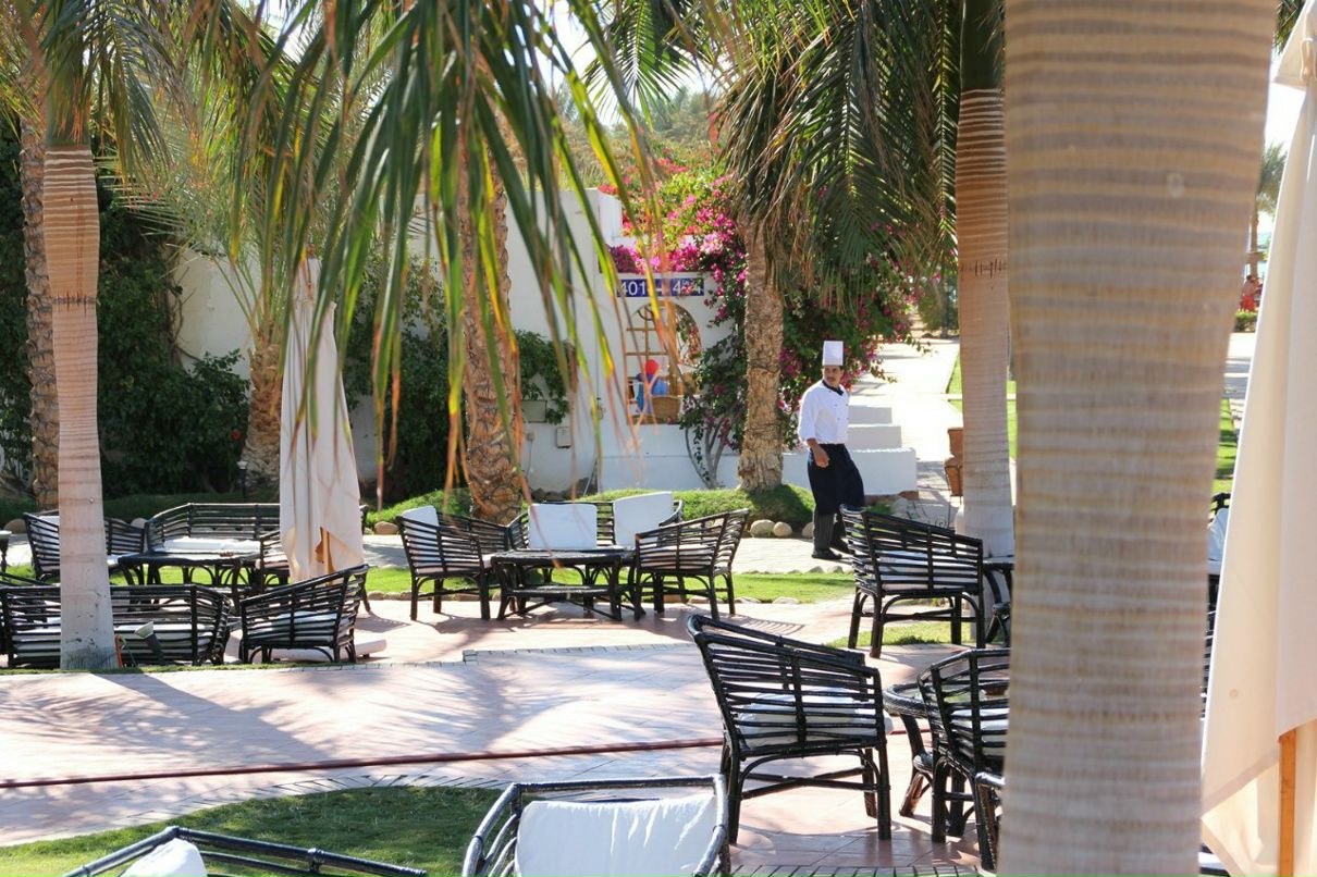 Владимир Пехоца | Краснодар