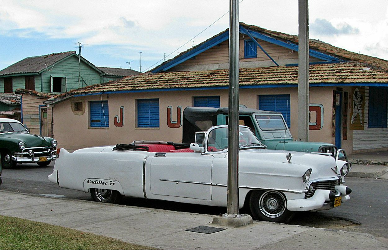 Полина Шамаева | Москва