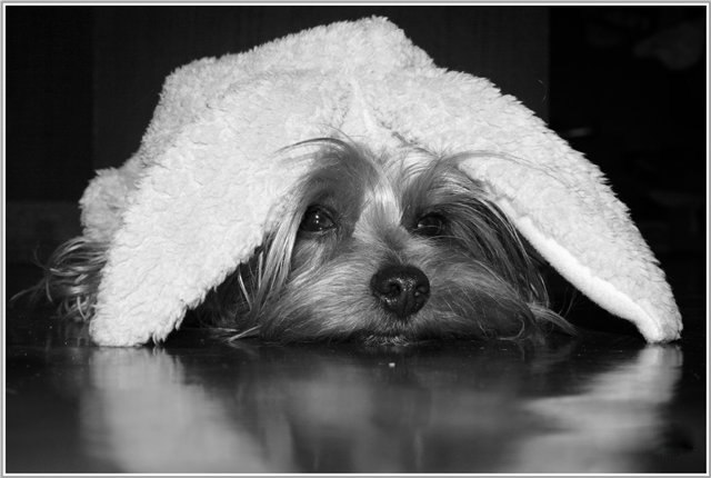 Юлия Житомирская | Санкт-Петербург