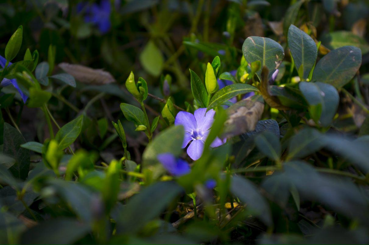 Иван Щербаков | Новочеркасск
