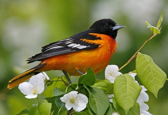 Таисия Иванова | Санкт-Петербург