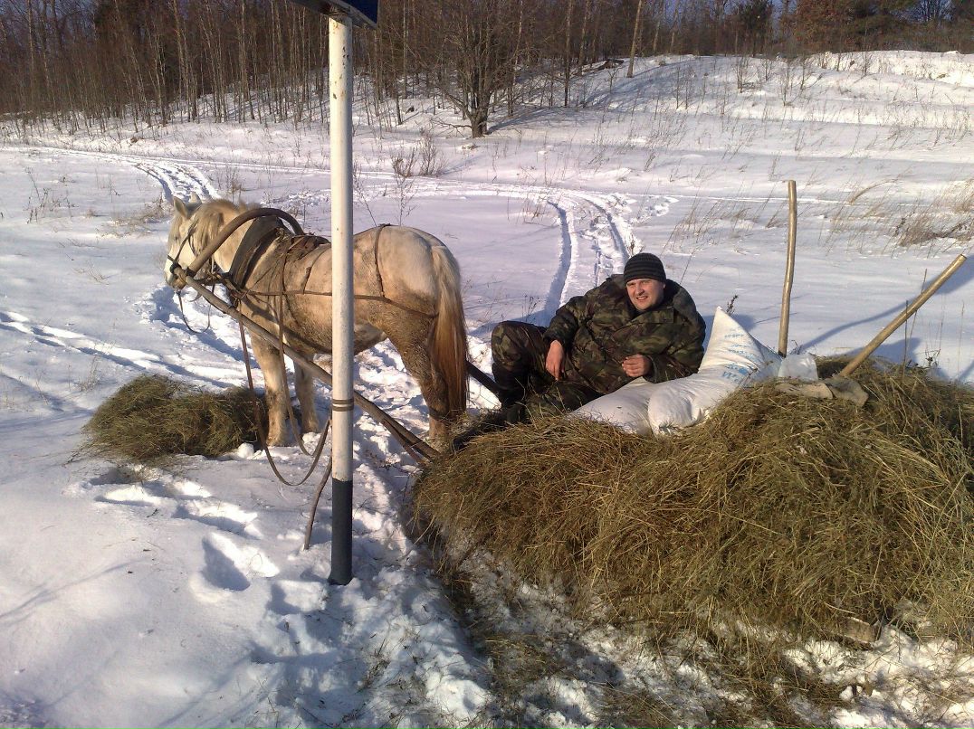 Вячеслав Васильев | Любытино